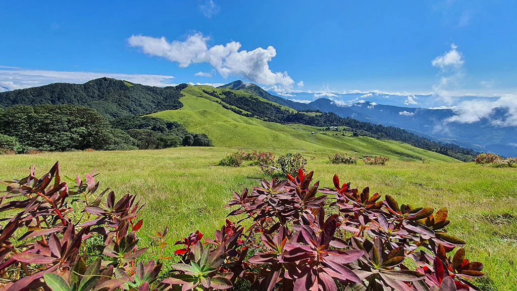  Wonderful View from Mundum Trail Trekking 