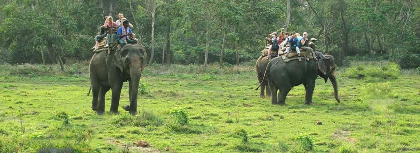 Chitwan National Park 3N 4D Budget Tour