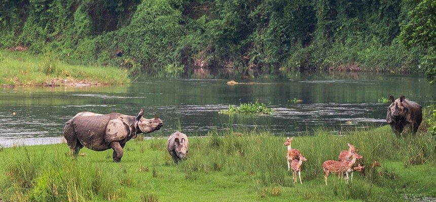 Chitwan National Park Tour