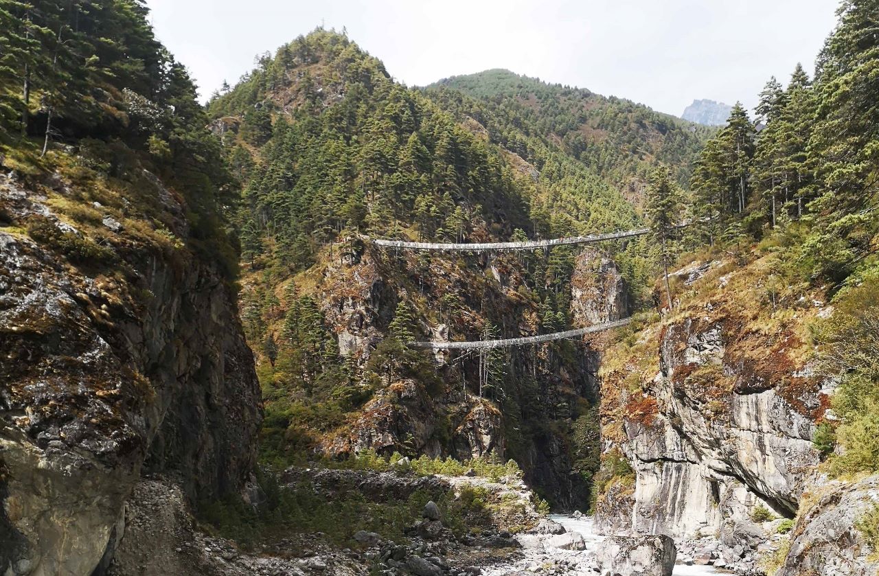 Exciting high bridges to cross 