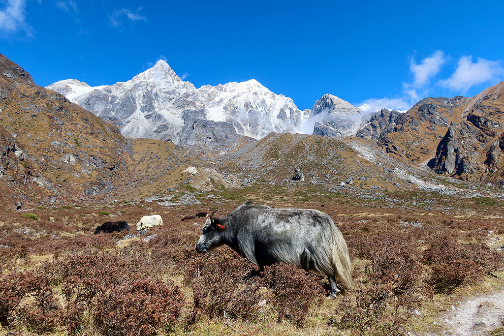 Wonderful Landcapes Kanchenjunga South Base Camp Side