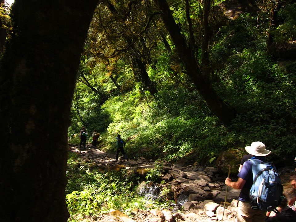 Summer / moonsoon season in Langtang Valley Trek (June to August)