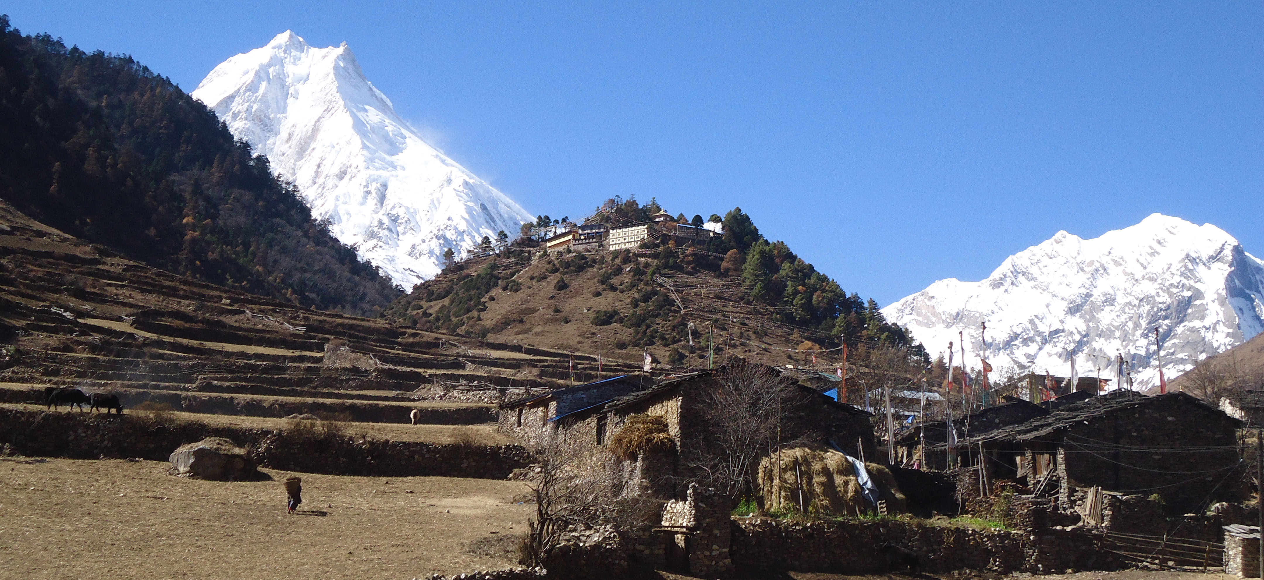 Mount Manaslu View.