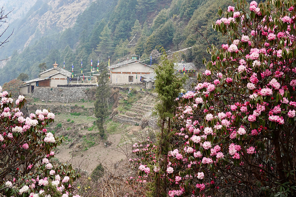 Gumba Lungdang monastery 